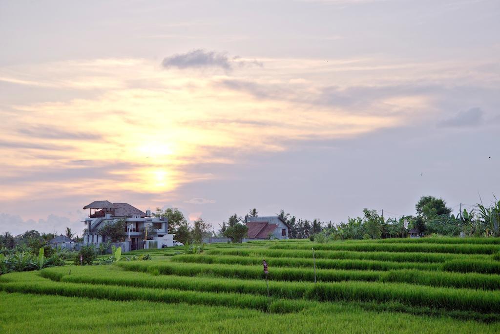 Paddy View Villa Kuta Lombok Dış mekan fotoğraf