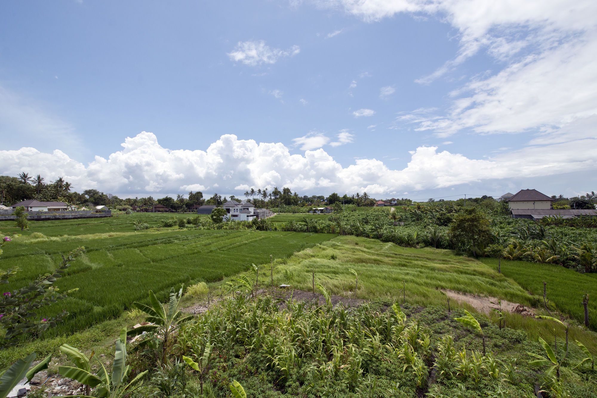Paddy View Villa Kuta Lombok Dış mekan fotoğraf