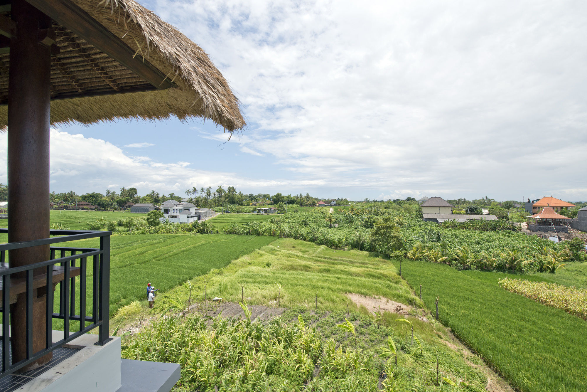 Paddy View Villa Kuta Lombok Dış mekan fotoğraf