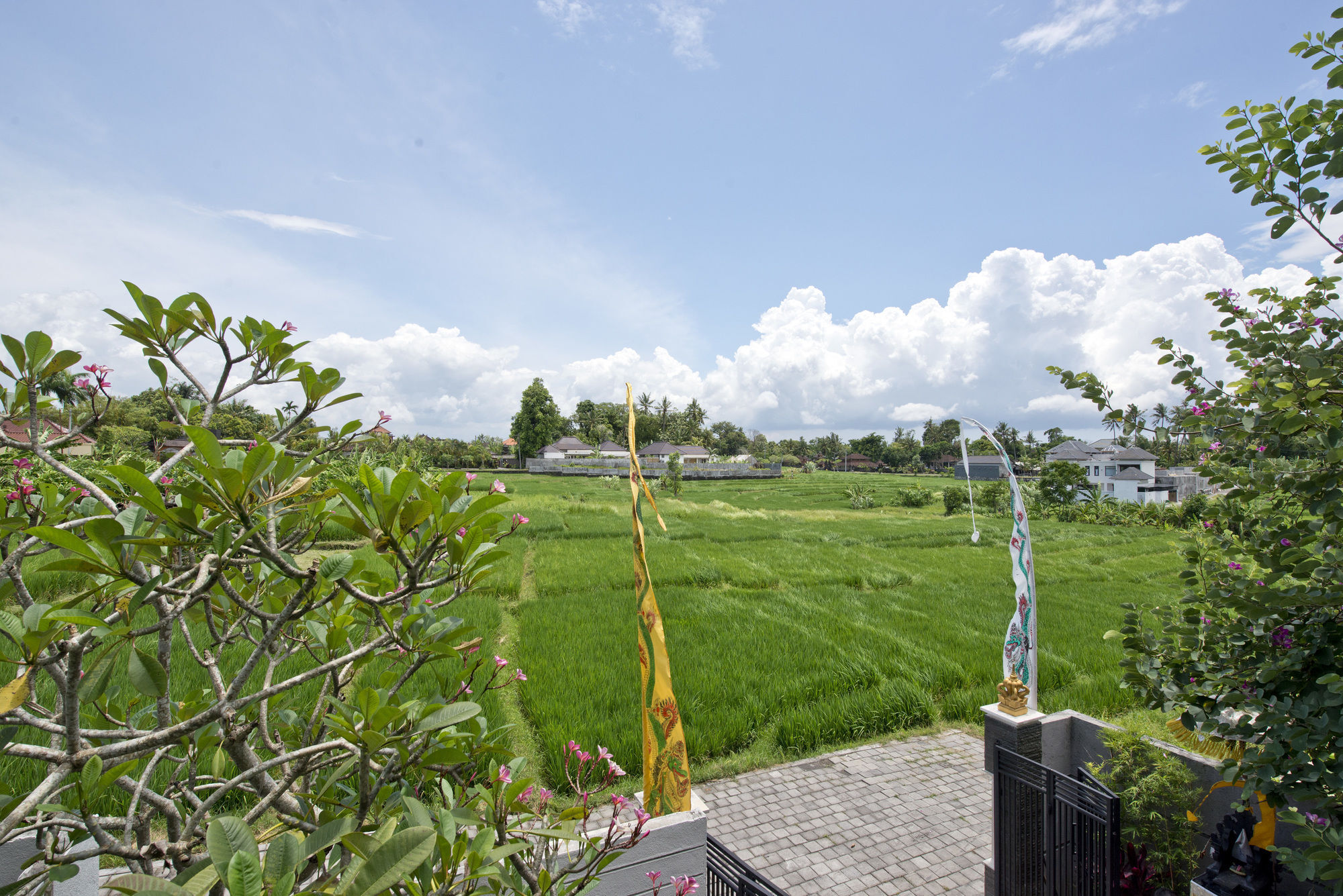Paddy View Villa Kuta Lombok Dış mekan fotoğraf