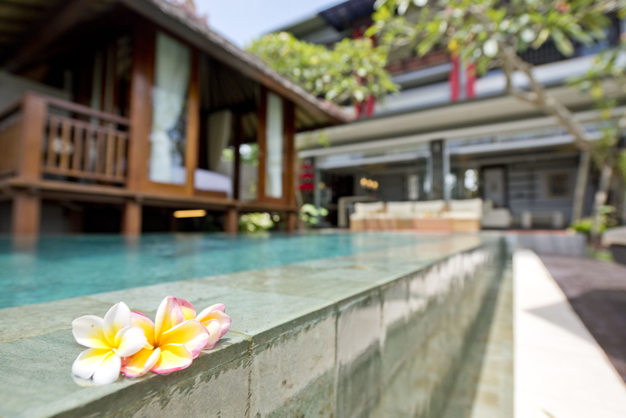 Paddy View Villa Kuta Lombok Dış mekan fotoğraf